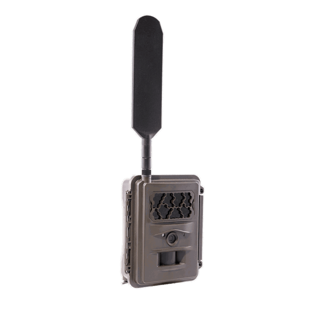 Product picture of Burrel N24 trail camera