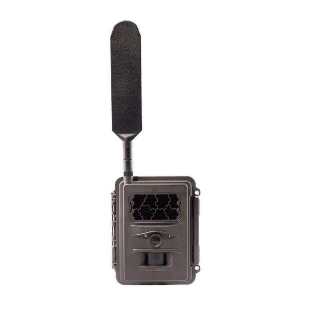 Kuva Burrel N24 -riistakamerasta