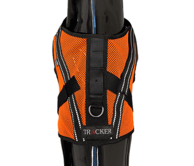 Kuva Tracker Aira koiran kevytvaljaasta muovisen koiran päällä