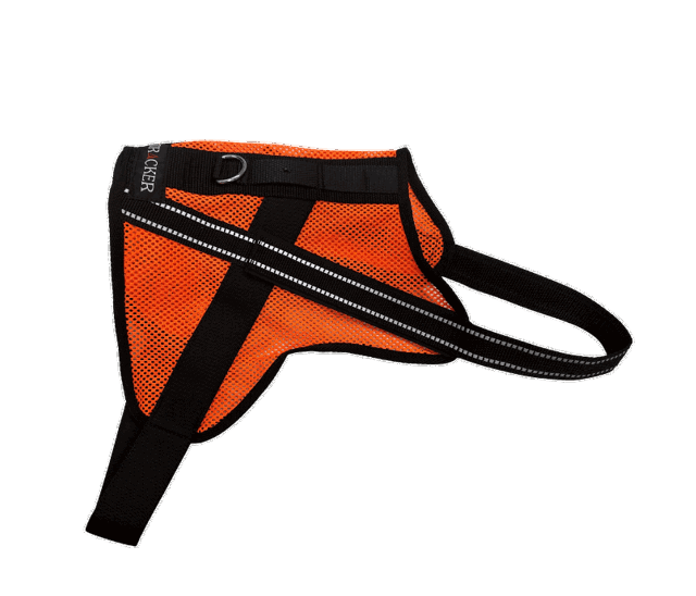 Kuva Tracker Aira koiran kevytvaljaasta